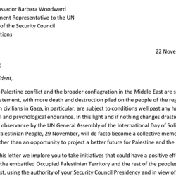 Cover photo - letter to UNSC President on Israel-Palestine (éé Nov 2024)